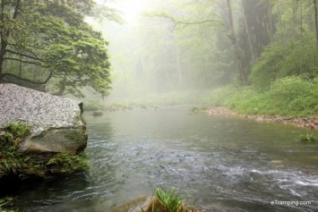A peaceful stream in ZhangJiaJie National Forest Park