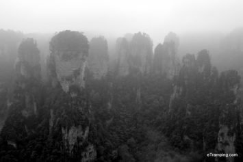 Black and white view of ZhangJiaJie National Forest Park