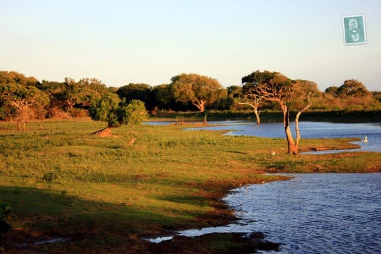 Yala National Park Yala National Park