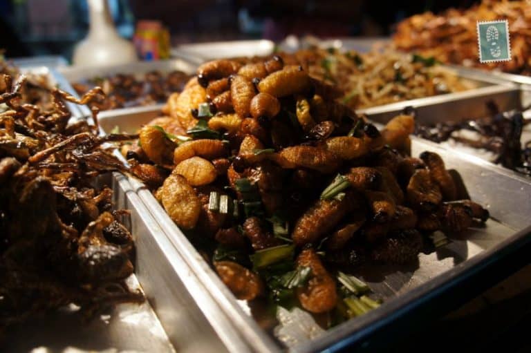 Fried and salty bugs