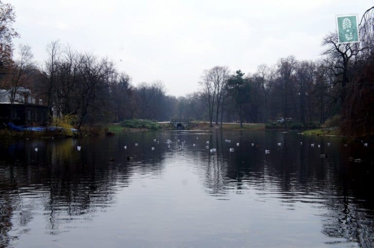 The park in Lazienki