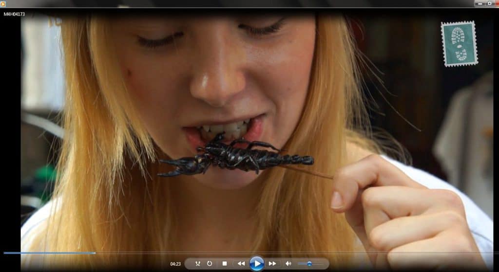 Agness eating scorpion (we have it on tape)