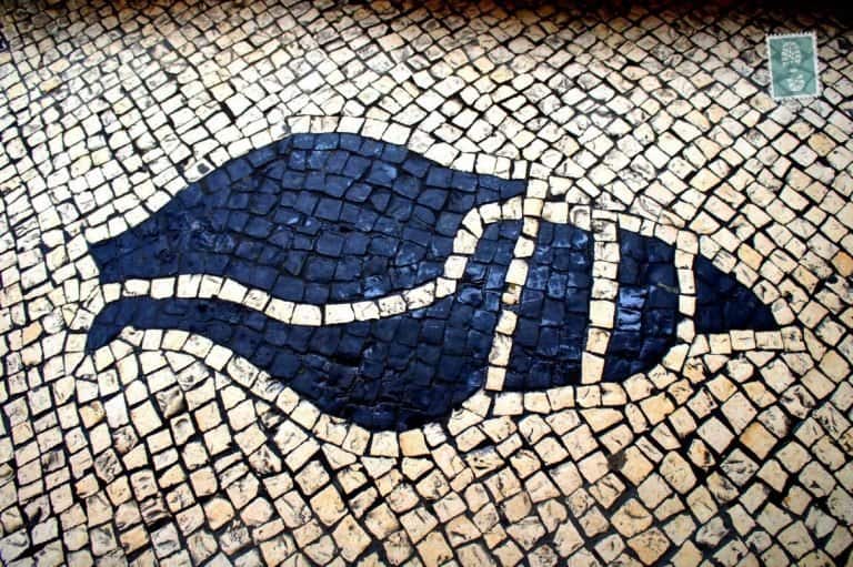 Portuguese style pavements in Macau - Seashell