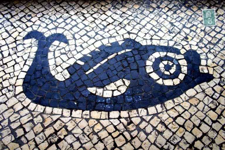 Portuguese style pavements in Macau - Fish
