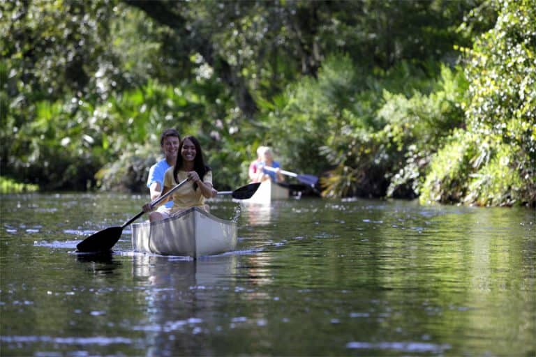 ake a kayak or canoe ride along Shingle Creek, headwaters to the Florida Everglades