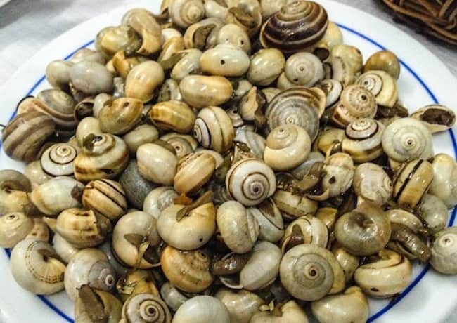 Snails, believe it or not, one of Lisbon's favorite snacks during summer time. They're cheap and eating them can be quite an experience