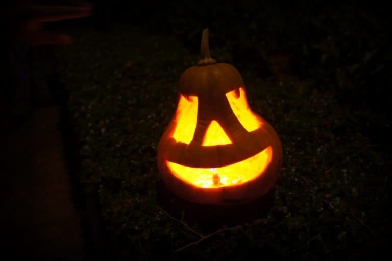DSC00537 Halloween pumpkin