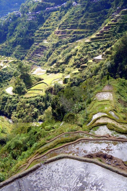 Rice Terraces in Banaue