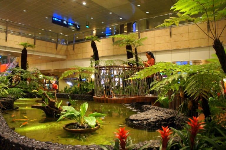 Butterfly Garden in Singapore Airport