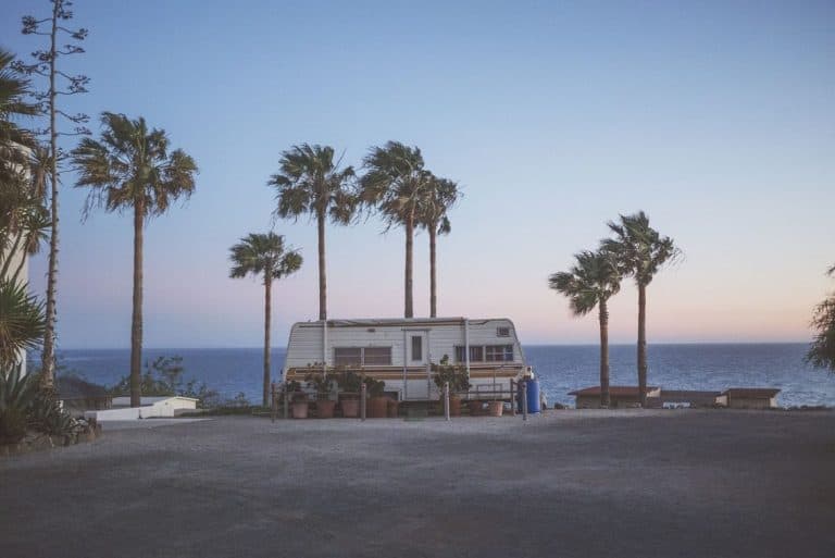 camper travel palm trees