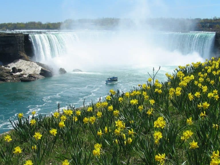 Niagara Fall 4