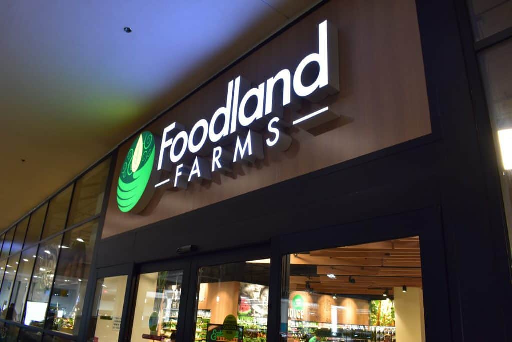 The Ultimate Guide to Oahu "The Gathering Place" Etramping