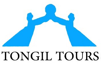 Tongil Tours