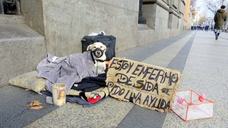 A dog in Madrid