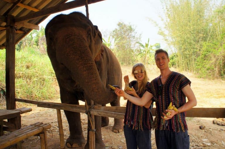 Feeding the elephants in Thailand – an amazing experience