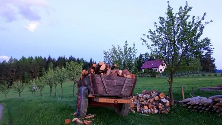 The Polish countryside – home, sweet home!