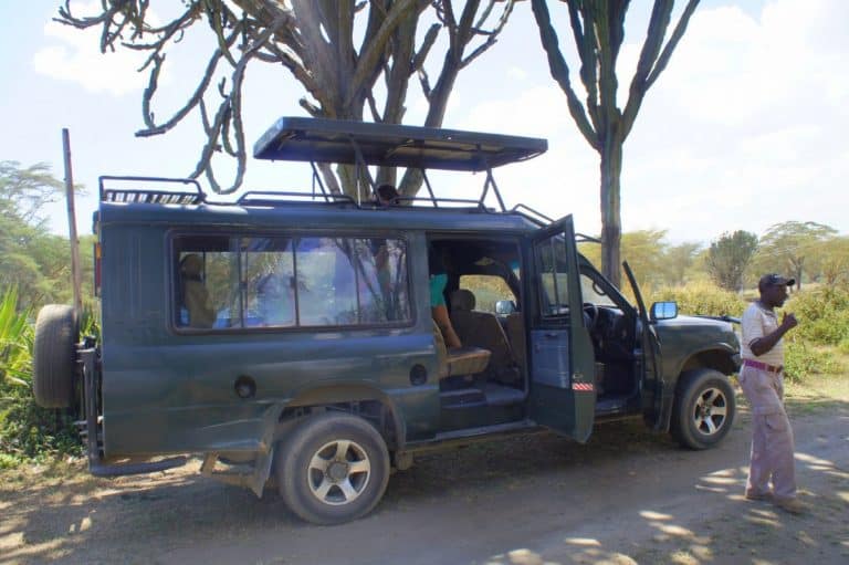 Safari at Lake Naivasha