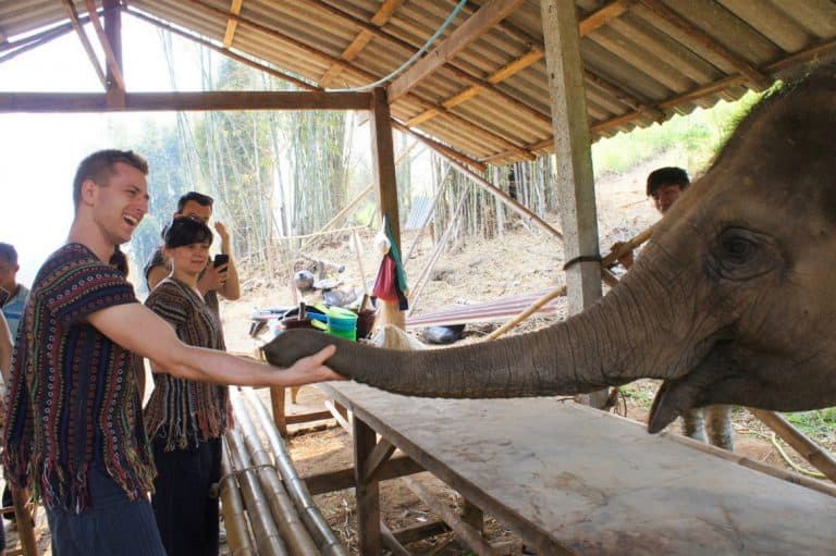 Cez saying hi to an elephant