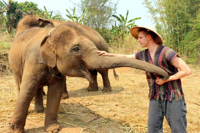 Cez petting an elephant
