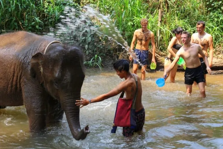 Bath with elephants in Chiang Mai