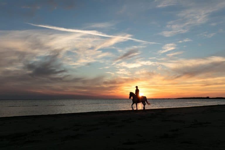 horse riding