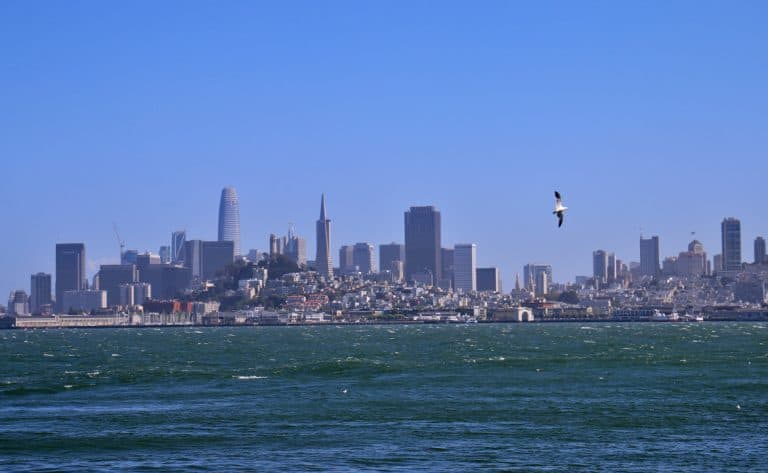 Beautiful San Francisco Views