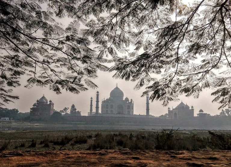 Taj with Greenery