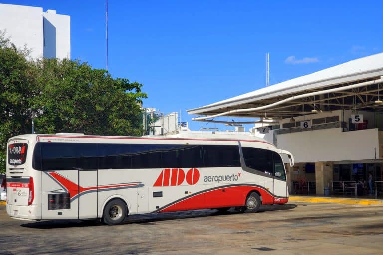 Ado Bus