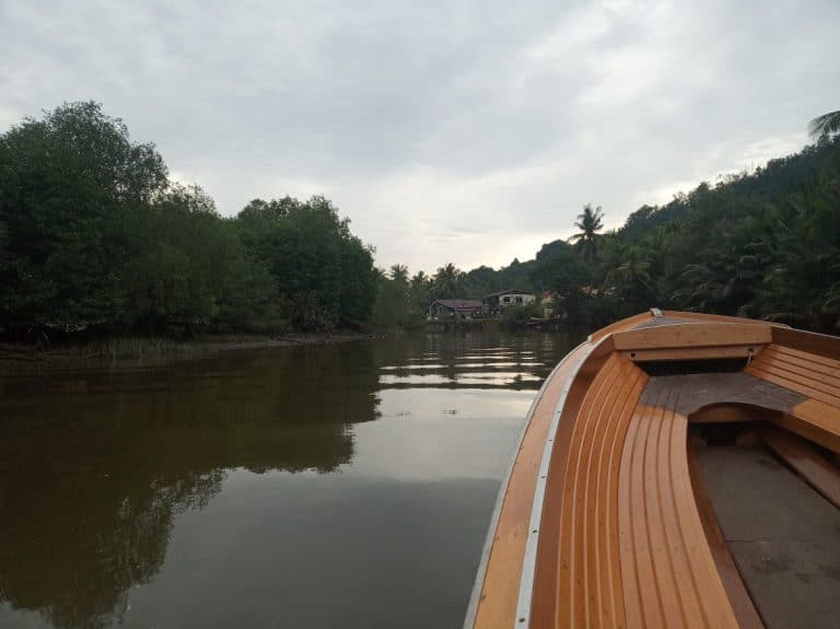 A boat's bow and mangrove in Brunei