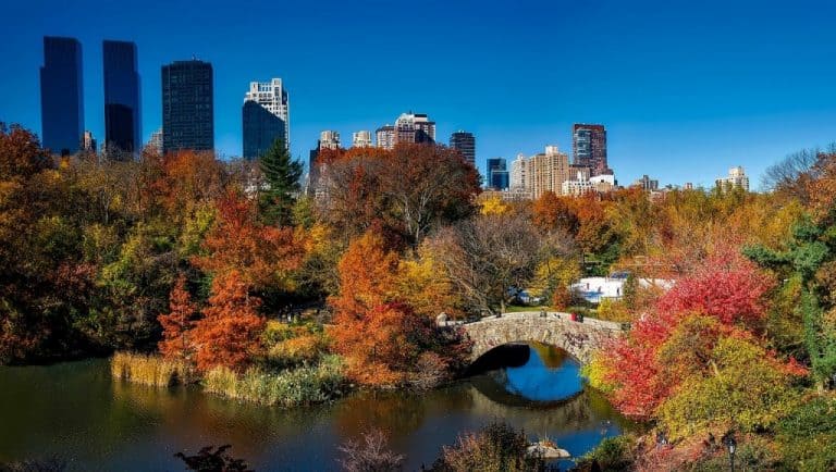 Central Park in the fall