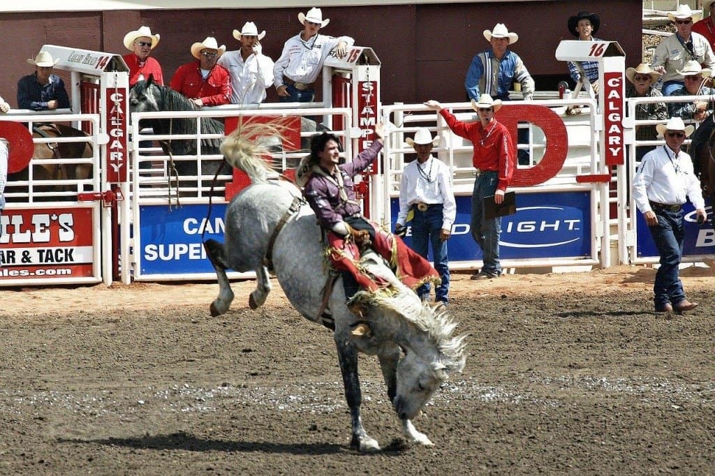 A rodeo horse rider in Calgary