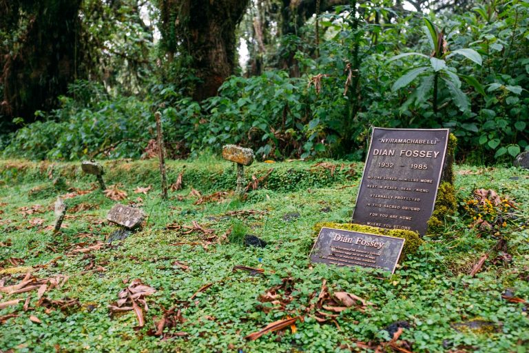 Dian Fossey Grave