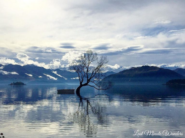Silhouetted willow tree growing in lake with rowing boat tied to it.