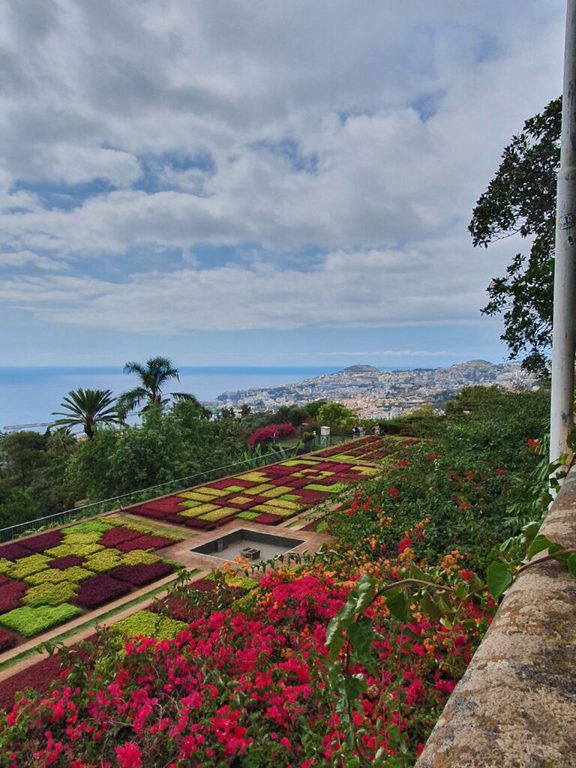  Stunning views of Funchal from the Botanic Gardens 