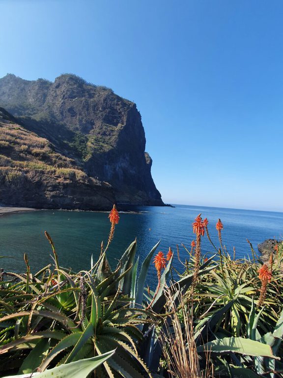 20211018 1635531 View of Eagles Rock and Maderia fauna by the bay at Porto Do Cruz