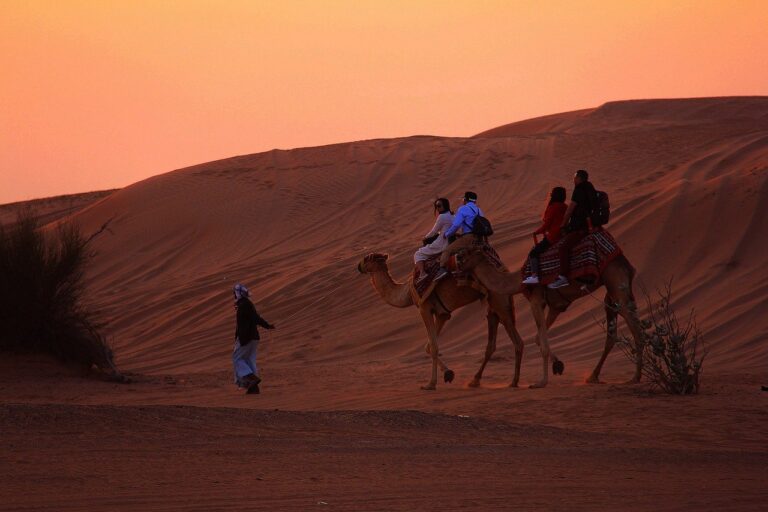 camel ride abu dhabi