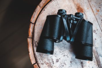 best birding binoculars under 100