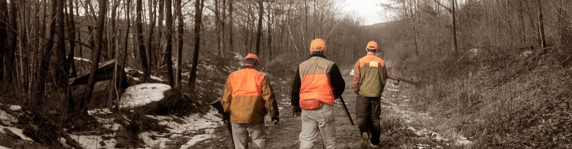 TOP 7 LIST Best Pheasant Hunting Boots in 2022 Etramping Adventure Blog