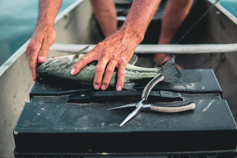 have the right tools on hand for your safety and to avoid accidentally releasing your fish.