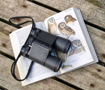 a good pair of binoculars improves your bird watching experience