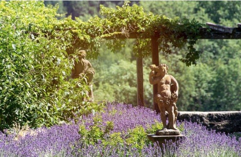 the castle gardens or burggarten of rothenburg