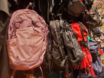 pink and grey assortment of backpacks in store
