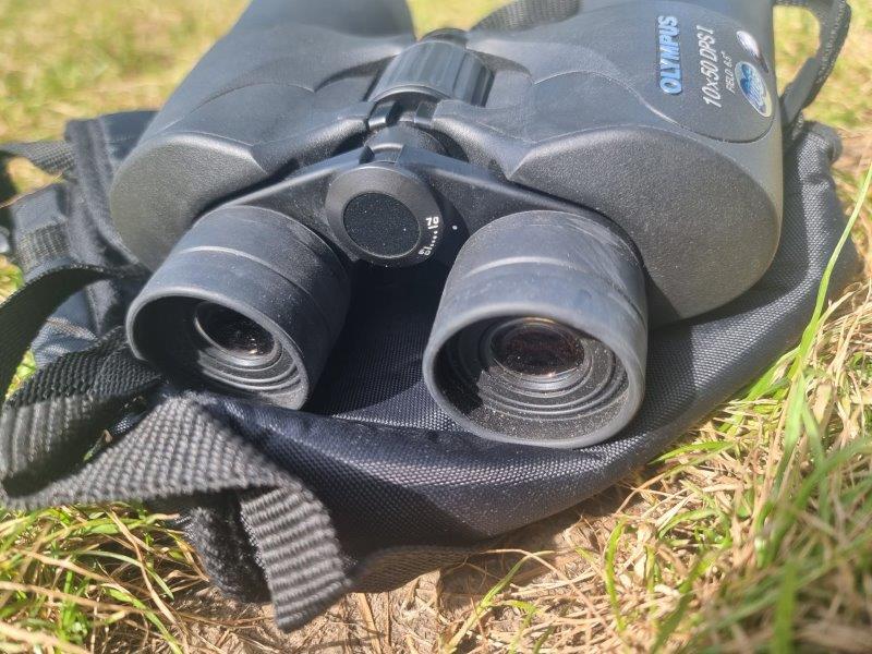 Best 12x50 Binoculars