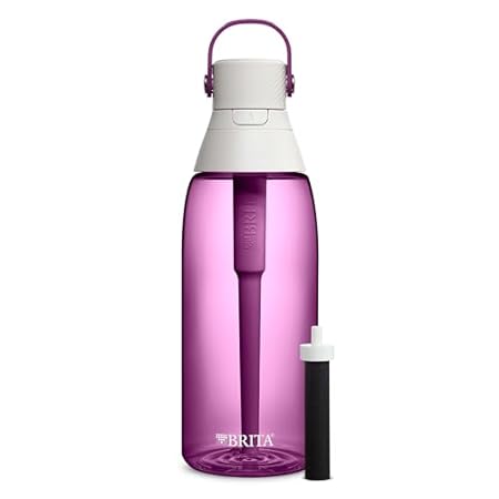 Brita Insulated Stainless Steel Water Filter Bottle