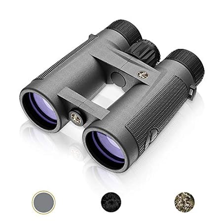 Leupold BX-4 Pro Guide HD 10x42mm Binocular